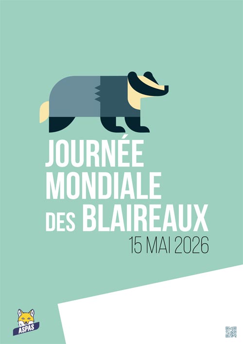 Journée mondiale des Blaireaux - Affiche 2
