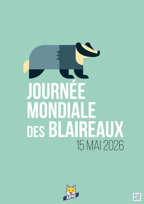 Journée mondiale des Blaireaux - Affiche